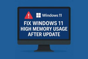 fix Windows 11 high memory usage after update