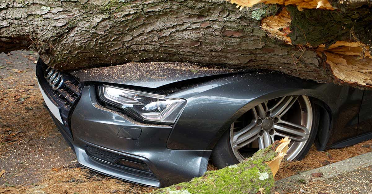 How car insurance in Ontario work