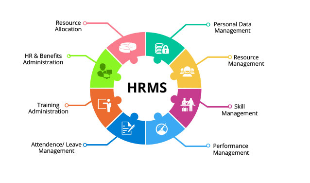 What Is HR Management Software